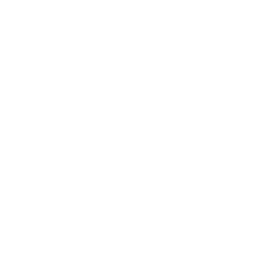 Primo Holdings